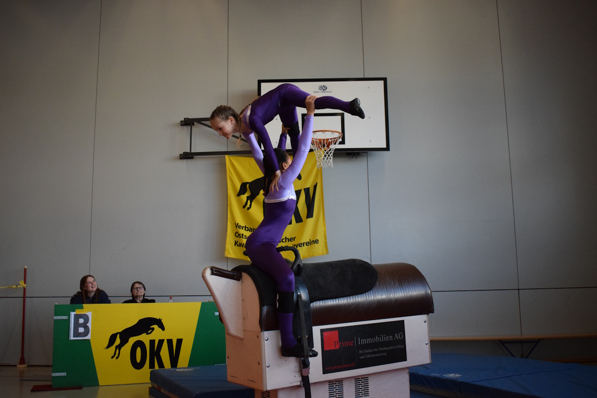 Voltige